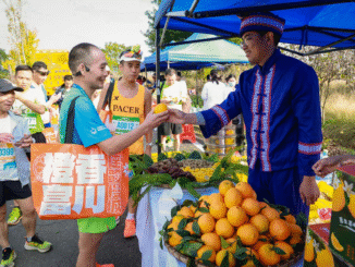 La región china de Guangxi apuesta por las naranjas navel para impulsar su economía